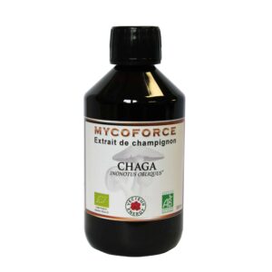 Chaga - Mycospagyrie - 300 ml - Vecteur energy - immunité - Les champignons