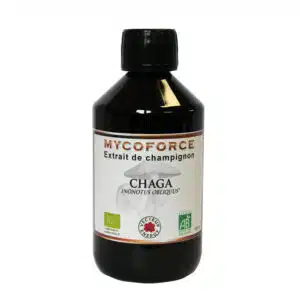 Chaga - Mycospagyrie - 300 ml - Vecteur energy - immunité - Les champignons