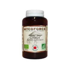 Chaga - Mycospagyrie - 150 gélules - Vecteur energy - Les champignons