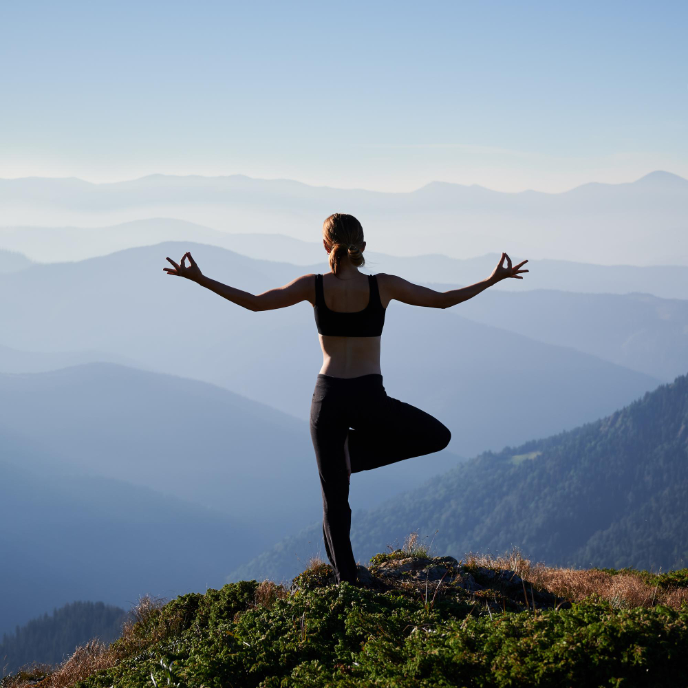 le Shilajit Renforce le corps et ainsi l'immunité le Shilajit Renforce le corps et ainsi l'immunité