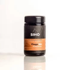 Chaga - 60 Gélules - Siho