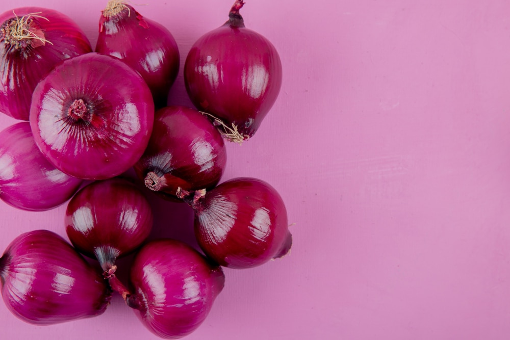 Comment consommer la quercétine les différentes formes de quecétines