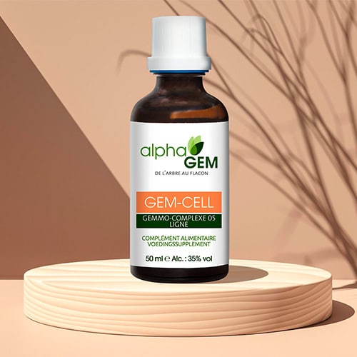 gem cel gemothérapie cellulite