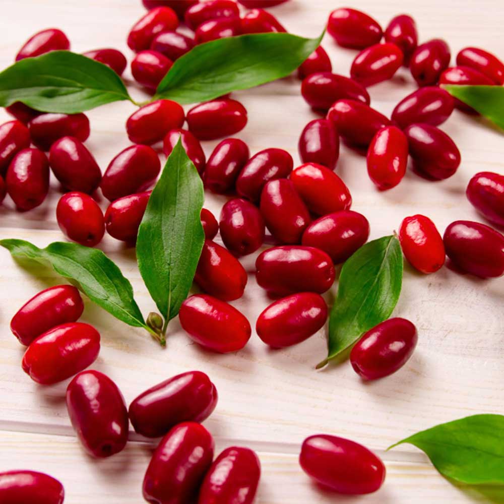 La berberine vous aide à retrouver vitalité et forme toute l'année
