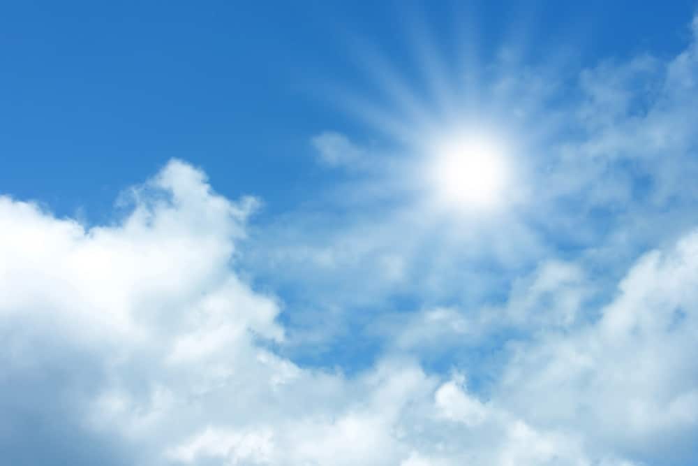 Qu’est-ce que la Vitamine D3 ? comment en produire ?