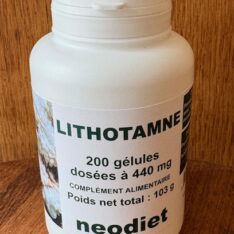Lithotamne - 200 gélules - Vital Osmose