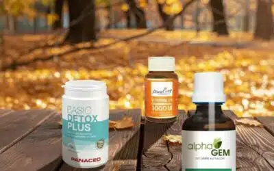 Routine bien-être automne : Zéolite, Vitamine D3 et GEM-IMMU pour préparer votre corps à l’hiver