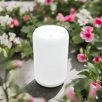 Diffuseur nébulisation nomade Movisia V2