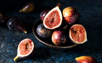 Le bourgeon de figuier : vertus, bienfaits et usages en gemmothérapie