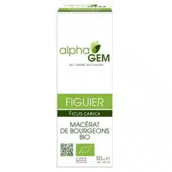 bourgeons-de-figuier-bio bourgeon de figuier bio pour votre confort cerébrale et anti-stress