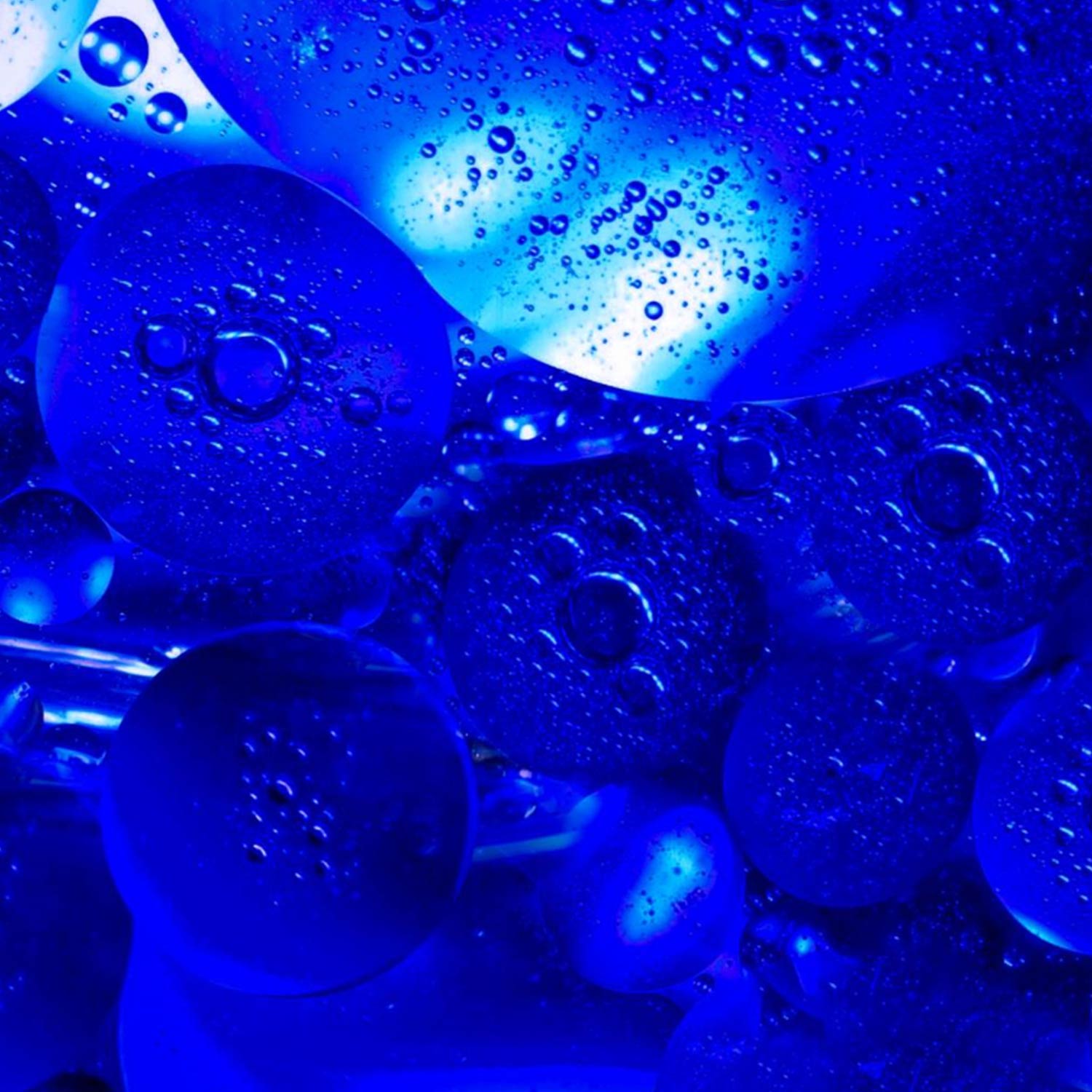 phycocynanine-pure-50-mg La phycocyanine titrée 50 mg Pro’Herbes, plus concentrée que de nombreux produits disponibles sur le marché