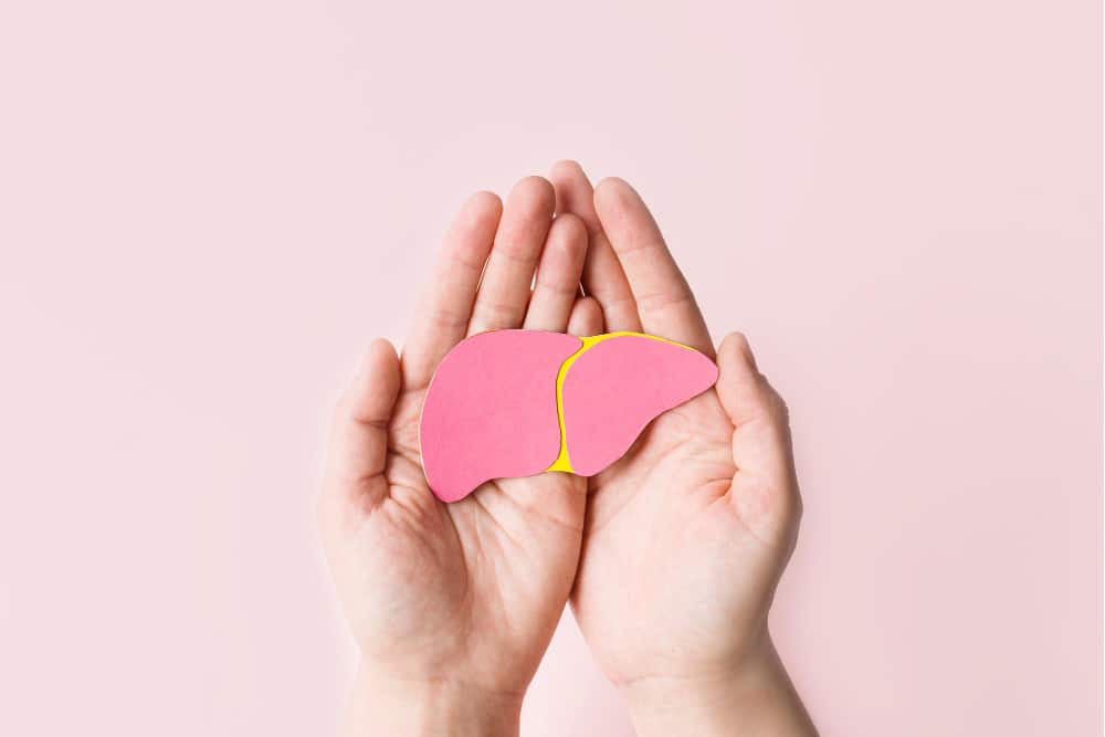 Le foie est l’un des organes les plus dépendants de la choline.