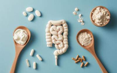 Ferments Daily : pourquoi les probiotiques sont essentiels pour votre équilibre intestinal