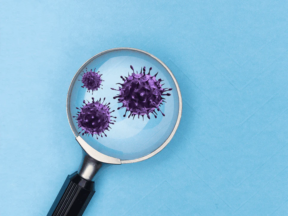 Pourquoi votre immunité est affaiblie ? Le système immunitaire est un réseau complexe qui protège l’organisme contre les agressions extérieures (virus, bactéries, toxines).