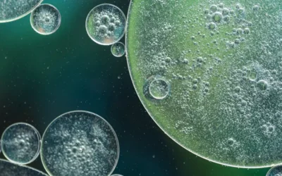 Solution de Lugol : histoire, composition et conseils d’utilisation