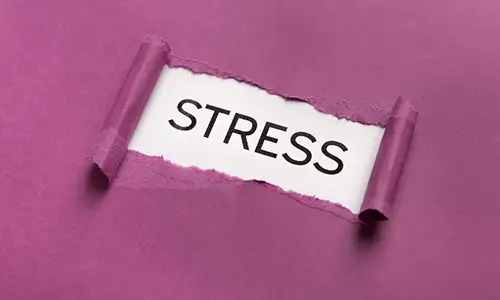 Gérez le stress naturellement avec nos compléments : ashwagandha, rhodiola, magnésium, fleurs de Bach. Solutions douces pour retrouver calme et sérénité. compléments alimentaires stress naturel