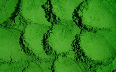 Spiruline française bio : guide complet bienfaits, posologie et comment bien choisir