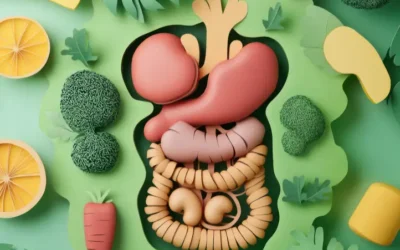 Verm’sil : avis, posologie et composition du vermifuge naturel bio