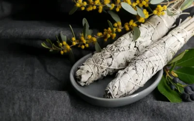 Encens de sauge blanche (white sage) : bienfaits, utilisation et purification