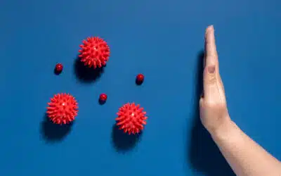 Immunité et automne : les nutriments qui comptent vraiment