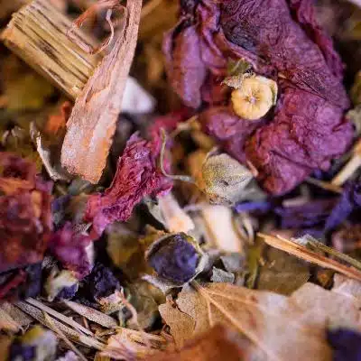 La tisane Préventive hiver bio – Image 3