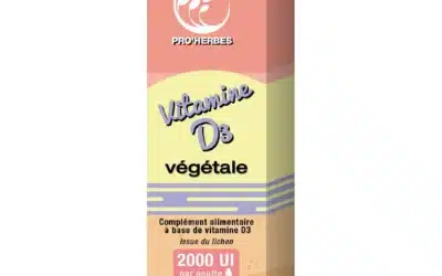 Vitamine D3 végétale : d’où vient la D3 du lichen et comment bien la choisir